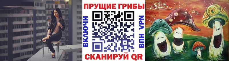 Псилоцибиновые грибы Cubensis  Александровск-Сахалинский 